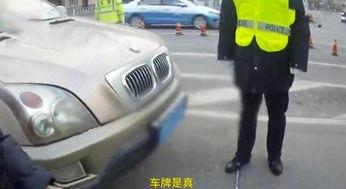 骑国产车丢人吗视频讲解,揭秘国产车崛起背后的实力与魅力